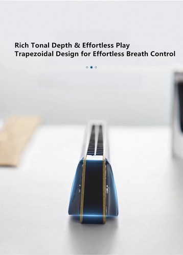 Custom Name Harmonica 24 Holes Tremolo Harmonica Key of C for Musicians Blue - Picture 9 of 12