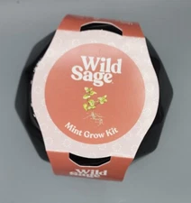 New Wild Sage Mint Grow Kit Self-Watering Black Ceramic