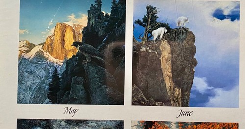 STEPHEN LYMAN Into the Wilderness 1998 Calendar - New Old Stock, Sealed - Picture 5 of 8