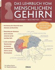Das Lehrbuch Vom Menschlichen Gehirn Ein Einblick in Gehirn und Nervensystem ...