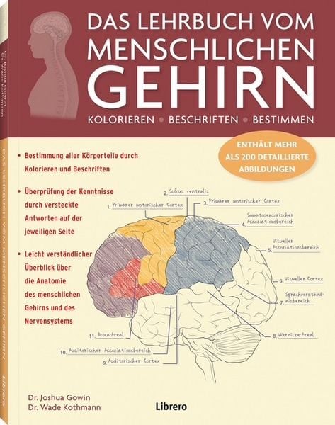 Das Lehrbuch Vom Menschlichen Gehirn Ein Einblick in Gehirn und Nervensystem ...