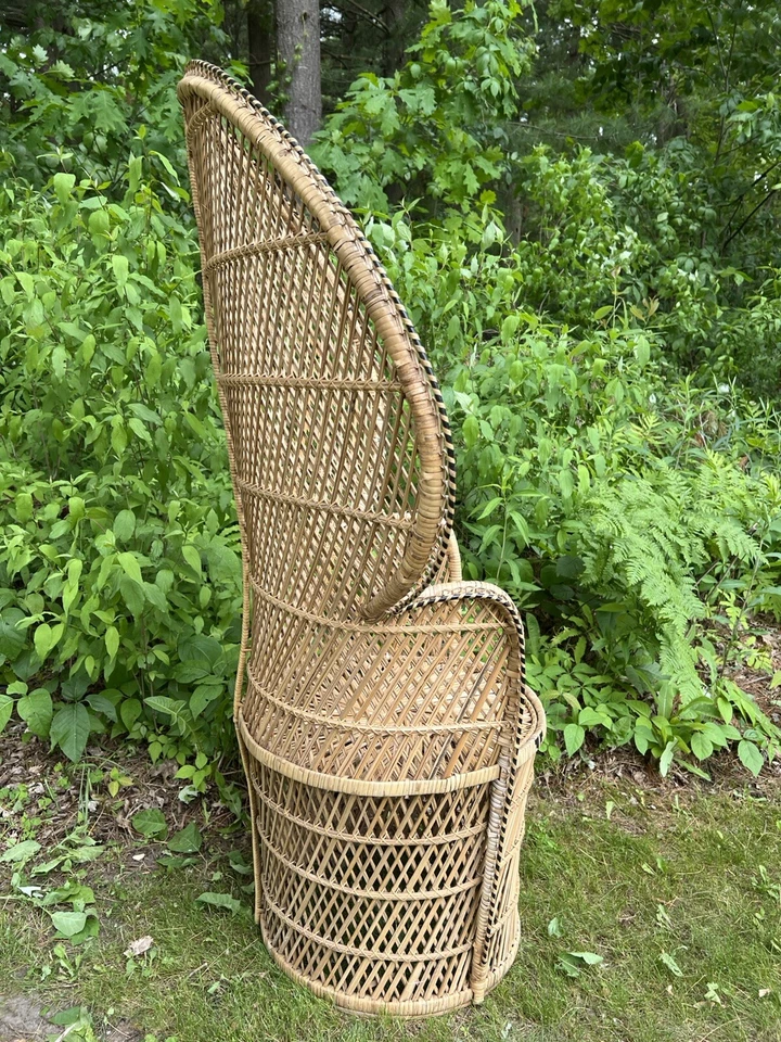 Silla de mimbre "Emmanuelle" pavo real años 60-70 vintage Foto 2 de 4