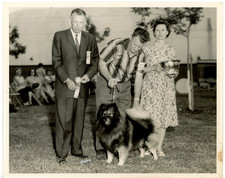 1959 Keeshond Ch. Van Fitz Mr. Bie Winner Photo DOG SHOW 8x10 Bakersfield