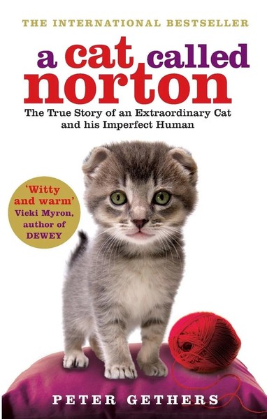 A Cat Called Norton Peter Gethers Taschenbuch Kartoniert / Broschiert Englisch-image