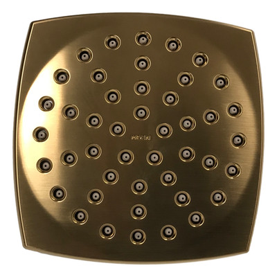 Moen S6365BG Voss Duschkopf 6 in Einzel-Funktion in Brushed Gold für UT3693BG