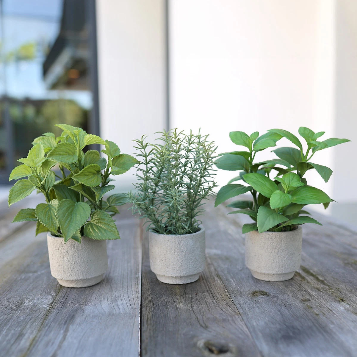 Kruter Dekoblumen & knstliche Pflanzen online kaufen | eBay