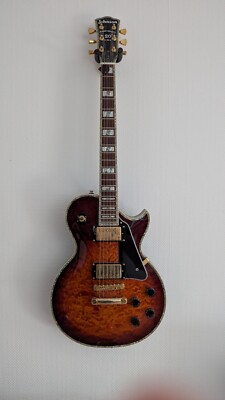AMI  Johnson  Les Paul E-Gitarre 20th Anniversary Edition in TOP-Zustand