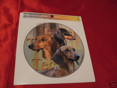 1 autocollant - motif chien TECKEL poil ras - Imagen 1 de 1