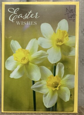 4er Pack Osterkarten ''Osterwünsche'' Ich wünsche dir frohe Ostern (15x10cm)