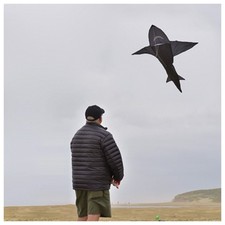 In The Breeze 3D Shark Kite - Durable Fabric, Sharp Design, Easy to Fly for