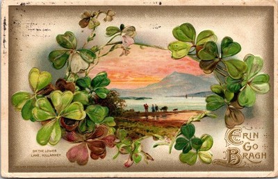 Vintage Killarney Ireland Lake Shamrocks Embossed Postcard 1914 Erin Go Bragh