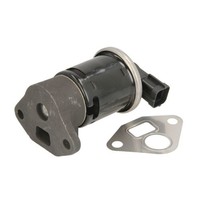 AGR Ventil Delphi EG10445-12B1