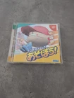 Sega Dreamcast Pro Yakyuu Team De Asobou JP Baseball Complete