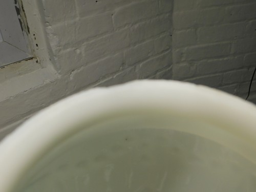 ANTIQUE SATIN GLASS LIGHT SHADE URNS AND GARLANDS #1 - Picture 5 of 6