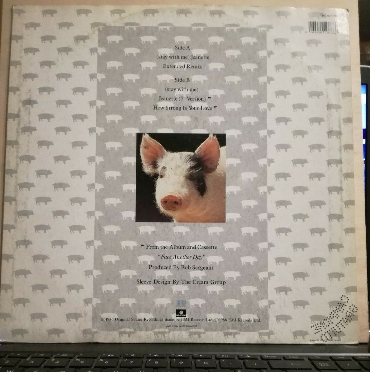 Picture 3 of 11