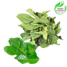 Feuilles de citron vert entièrement séchées bio agrumes hystrix Makrut...