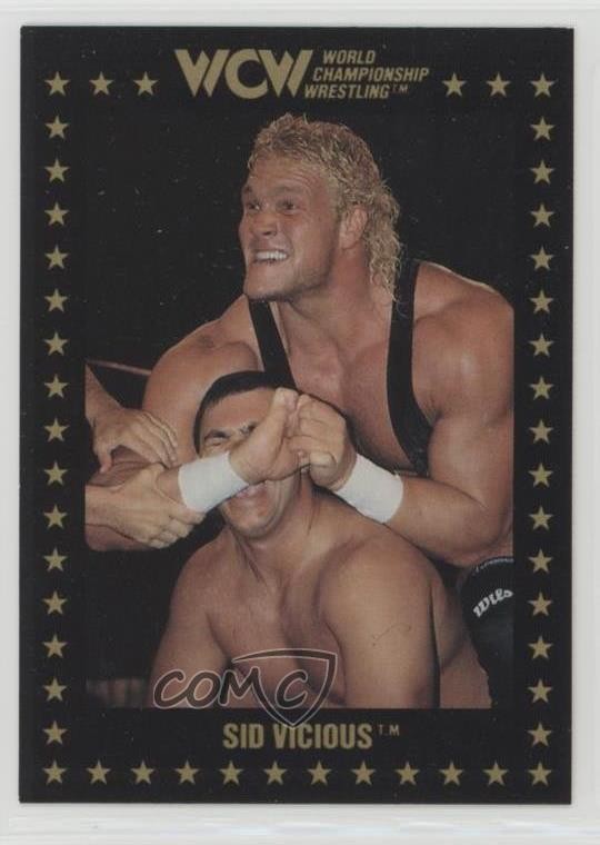 1991 Championship Marketing WCW Sid Vicious #13 Rookie RC 0w6