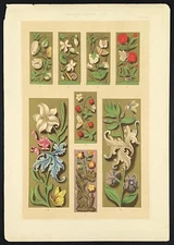 Floral with insects 16th century Decor Art Illumination lithograph 1860