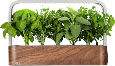 EDN Smallgarden with Basil Seedpods, Indoor Grow Smart Garden for Ios Devices -