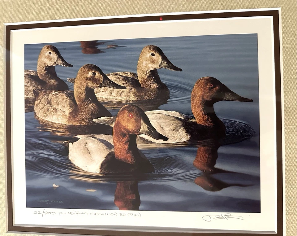 CALIFORNIA 2001 STATE Millennium DUCK PRINT Robert Steiner #52/200 Artist Framed - Image 2 of 4