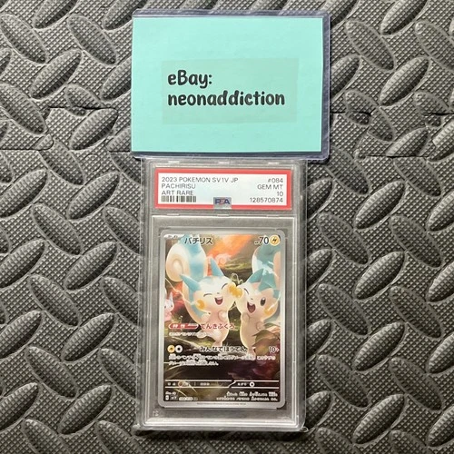 PSA 10 Pokemon Pachirisu SV1V JP #084 Gem Mint Art Rare Japanese Slab Graded