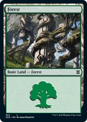 Forest #384 - Zendikar Rising