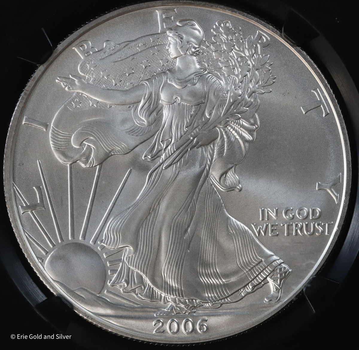 2006 W $1 American Silver Eagle NGC MS 69 | 20th Anniversary | eBay