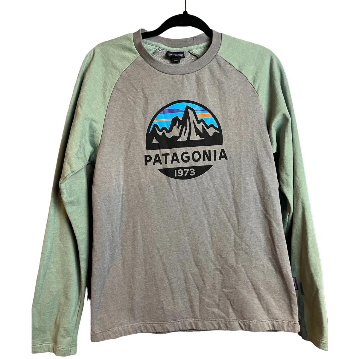Patagonia Men s Fitz Roy Hex Lightweight Crew Sweatshirt