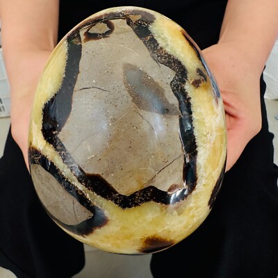 4.4LB Natural Septarian Dragon Stone Crystal Egg Quartz Healing Decoration