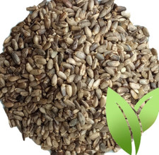 MILK THISTLE SEED ORGANIC WHOLE NEW NATURAL LIVER CLEANSE FRESH DETOX BOOST TEA