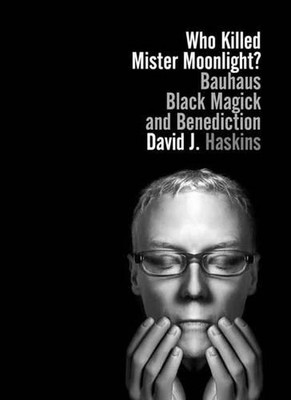 Throwing Frisbees At The Sun: A Book About Beck by Rob Jovanovic (English) Paper