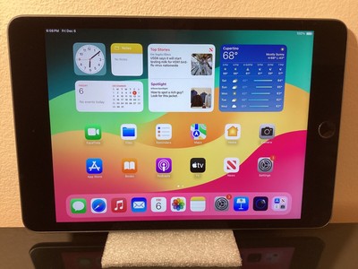 Apple iPad mini 5th Gen 64 GB, Wi-Fi, 7.9 in -Brand  New!!! Apple care+
