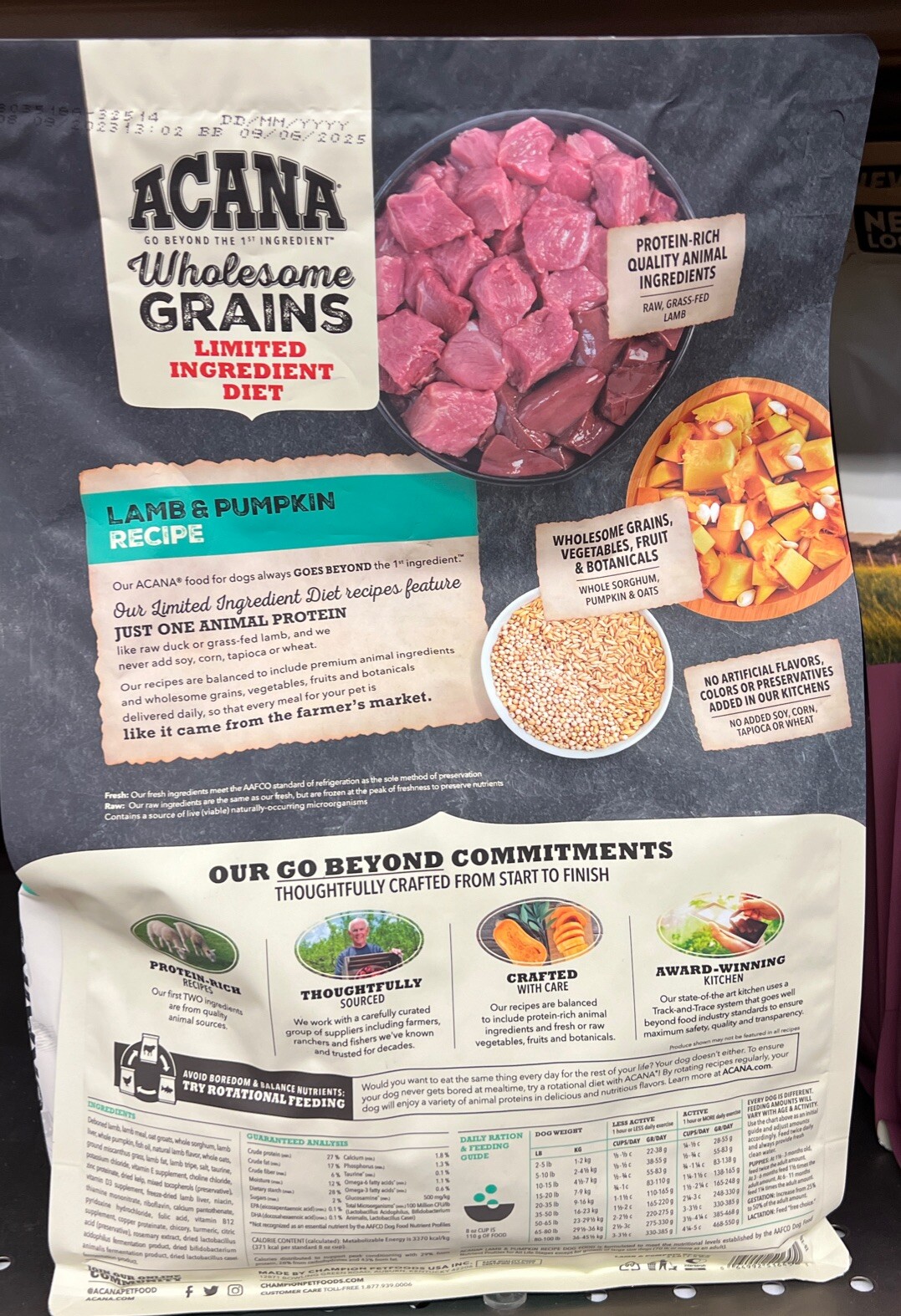 ACANA Wholesome Grains Lamb and Pumpkin Limited Ingredient Dog Dry Food 22.5 lb