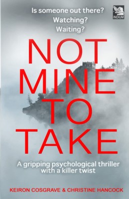 NOT MINE TO TAKE: Ein düsterer und kurvenreicher Psychothriller (Dom
