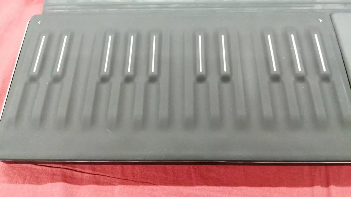 Roli seaboard cheap ebay