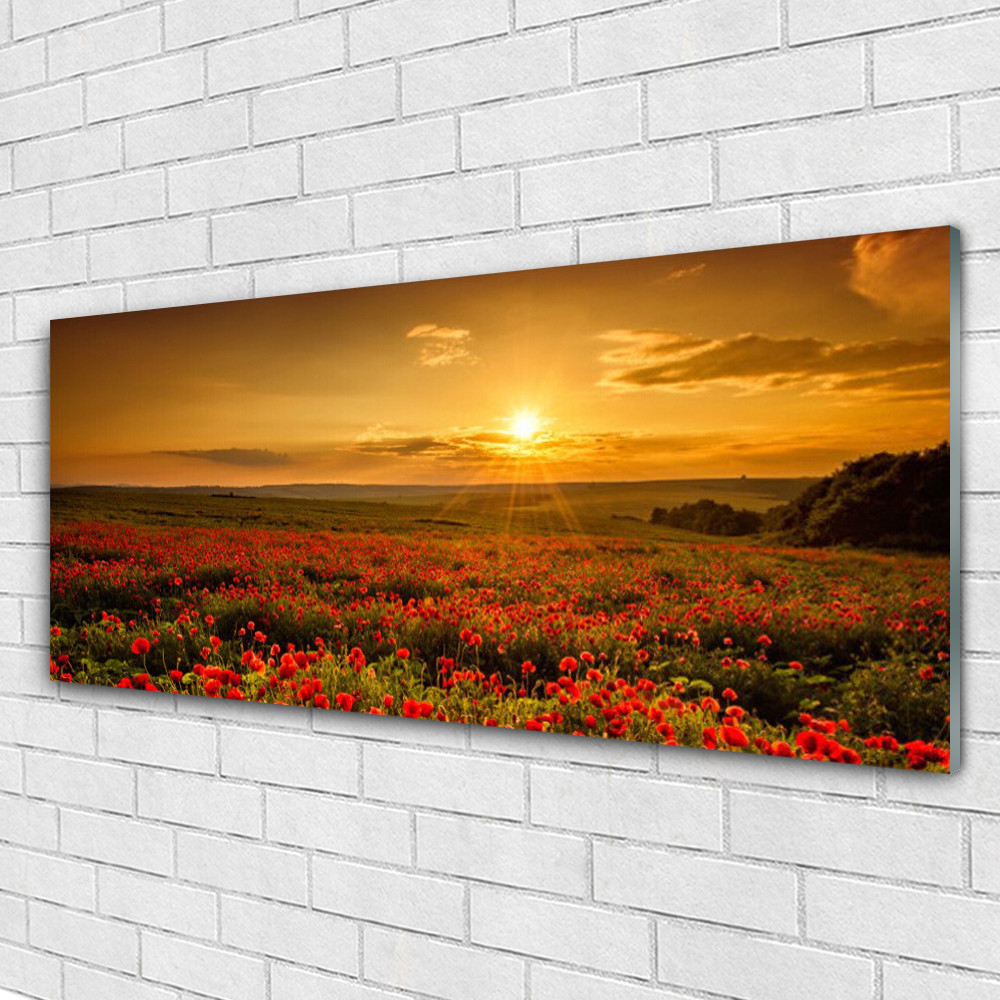 Impression sur verre image tableaux 125x50 nature fleurs prairie verte