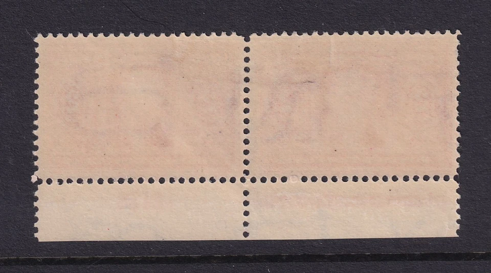 1904 Sc 324 Louisiana Purchase 2c MLH full OG VF plate number & imprint pair (YD - Image 2 of 2