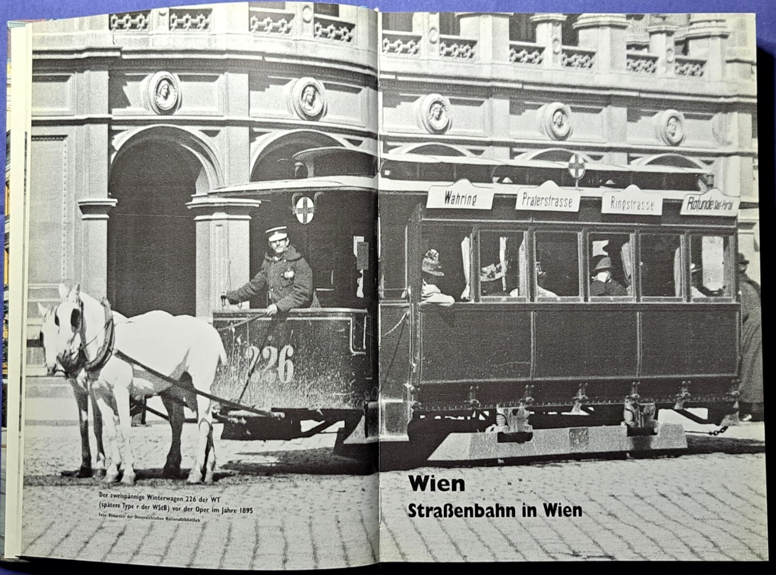Bild 7 von 24
