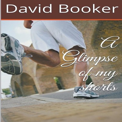 A Glimpse of My Shorts David Booker Paperback Draft2Digital