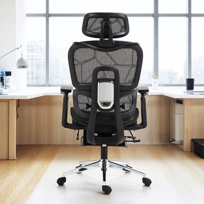 Professional Mesh Ergonomic Office Chair with Lumbar Support for Study, Office