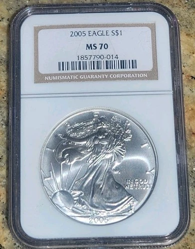 Photo of a 2005 American Silver Eagle from an eBay listing that sold on Jul 19, 2026