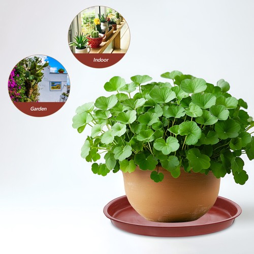 20 PCS Plastic Planter Tray Potted Saucer Water Trays for Indoor Plants - Picture 11 of 12