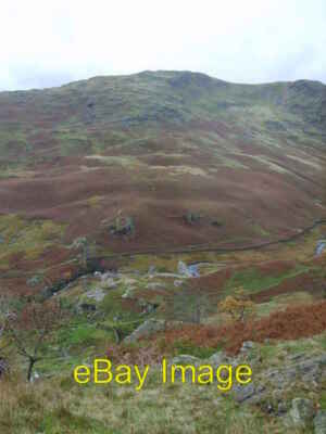 Photo 6x4 Descending Low Pike Rydal On the steep and colourful west flank c2008