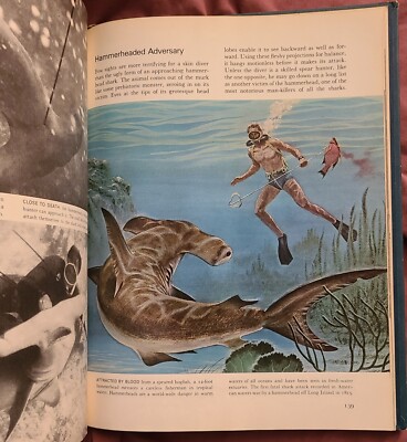 LIFE Nature Library: The Sea (1971, Hardcover) | eBay