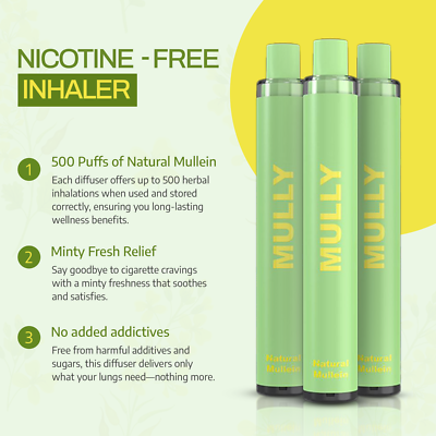 Mullein Diffuser Pen, Smoking Alternative, Replace Bad Habits, Mint Breathe 