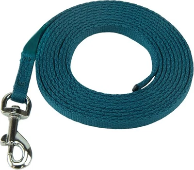 Coachi Puppy Mini Dog Training Line Teal Lightweight Indoor Lead For Training