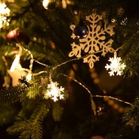 Led Snowflake Light String 20LED Battery Operated Led String Lights For Holi Set