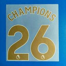 2025-2026 Premier League Champions 26 Adult Size Name Number Set Print  Arsenal