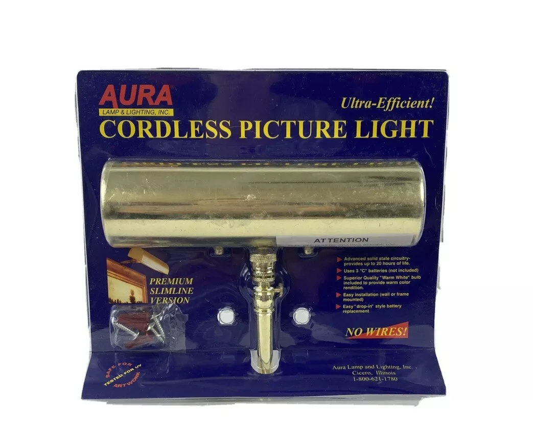 Cordless on sale painting light