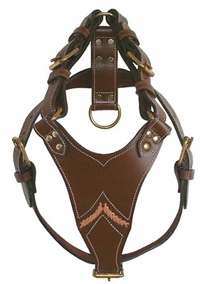 Leather Harness Gladiator Pit Bull Dogo Canario Bulldog Molosser Harness Brown